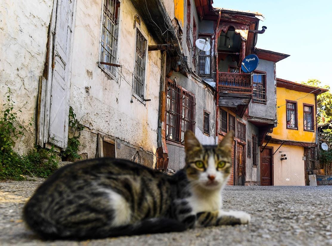 Bir zamanlar bütün kapıların açık olduğu bir mahalle: Yahudi Mahallesi