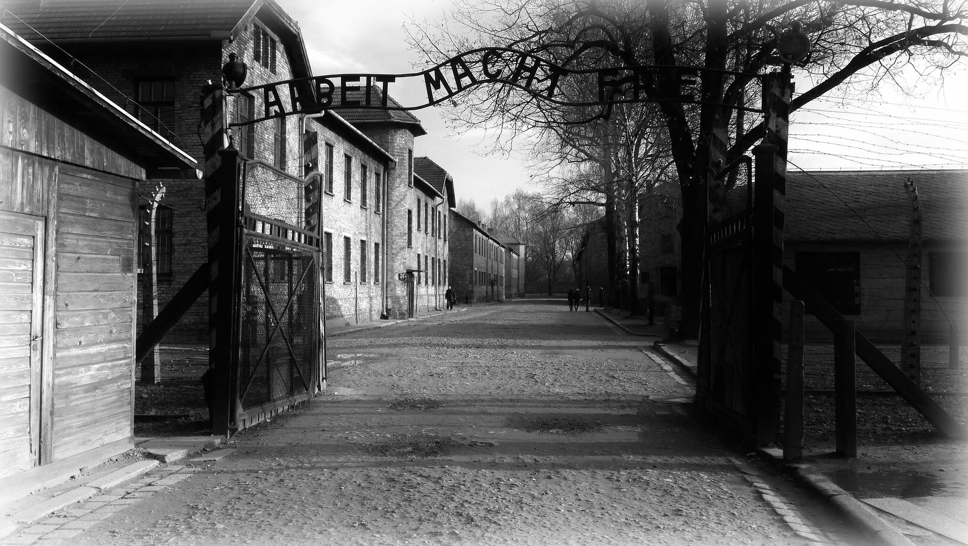 auschwitz-982498_1920