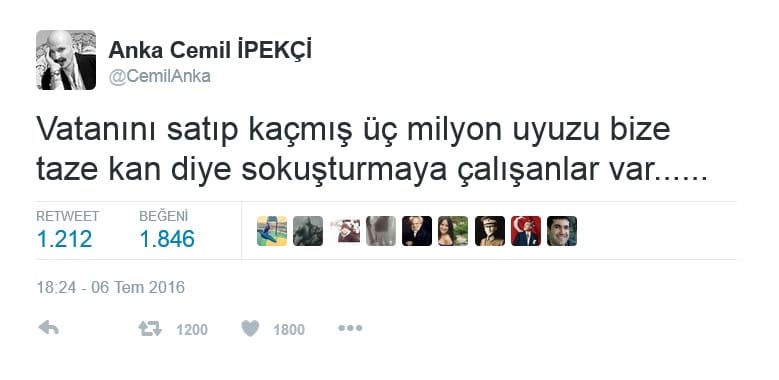 cemilipekci-01