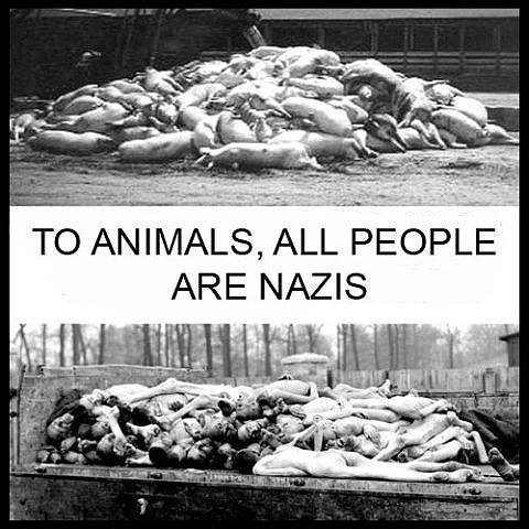 holocaust-animals