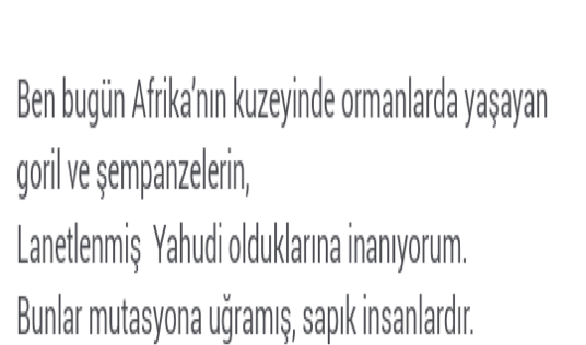 seyfi2