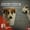 Auschwitz, köpekler ve fıtrat – Yusuf Gürsucu