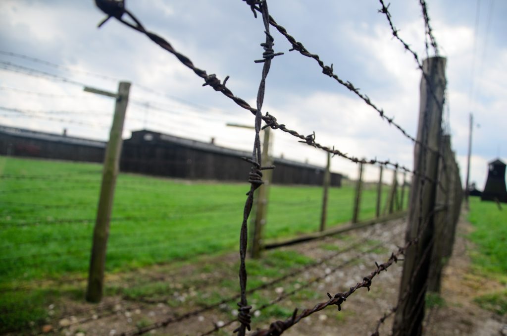 fence-444416_1920
